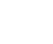 Evolution games at Royal Winner Casino